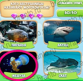 Узнавайка решения Уровень 172