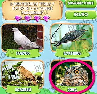 Узнавайка игра подсказки Уровень 174