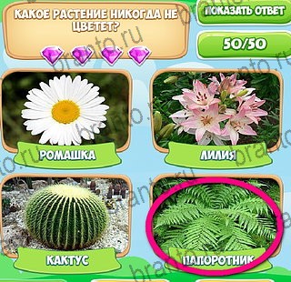 ответы на игру Узнавайка в одноклассниках Уровень 181