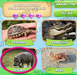 Подсказки на игру Узнавайка ВК Уровень 182