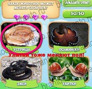 Помощь на игру ВК Узнавайка Уровень 184