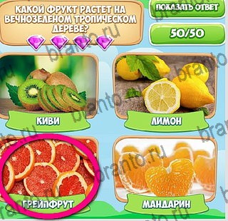 Игра Узнавайка ответы на все уровни игры в одноклассниках Уровень 209