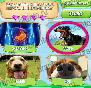 ответы на игру в одноклассниках Узнавайка Уровень 216