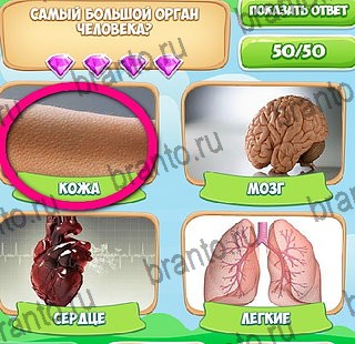 Узнавайка подсказки в контакте Уровень 219