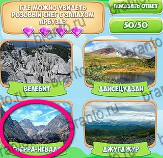 Узнавайка решения Уровень 222