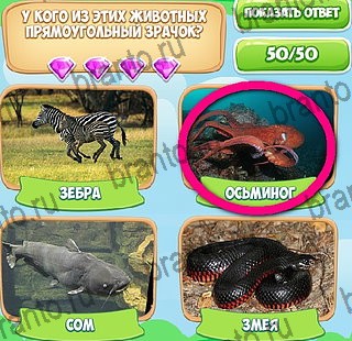 Узнавайка игра подсказки Уровень 224