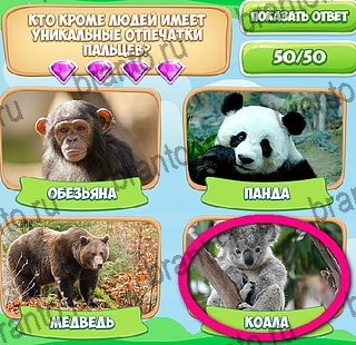 Узнавайка решения Уровень 232