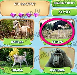 ответы на игру Узнавайка в одноклассниках Уровень 240