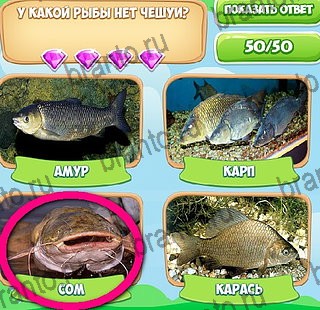 Подсказки на игру Узнавайка ВК Уровень 242