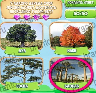 Помощь на игру ВК Узнавайка Уровень 244