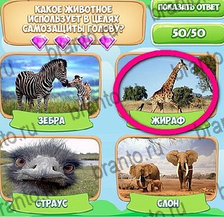 ответы к игре Узнавайка Уровень 245