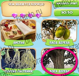 Узнавайка игра ответы Уровень 253