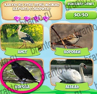 Игра Узнавайка подсказки вк Уровень 258