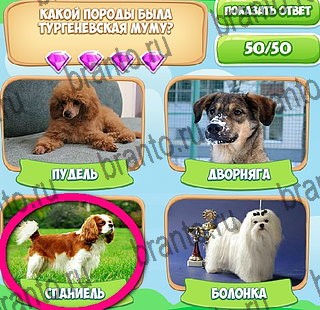 решебник на игру Узнавайка Уровень 281