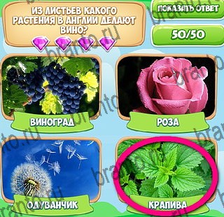 Игра Узнавайка подсказки вконтакте Уровень 298