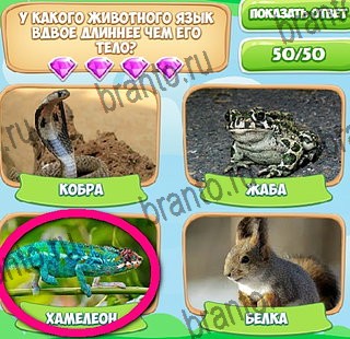 Решения на игру Узнавайка в контакте Уровень 303