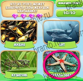 ответы на игру в одноклассниках Узнавайка Уровень 306