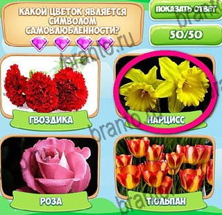 решебник на игру Узнавайка Уровень 311