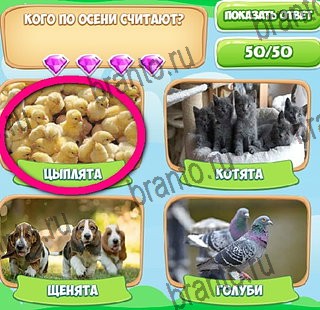 Узнавайка решения Уровень 312