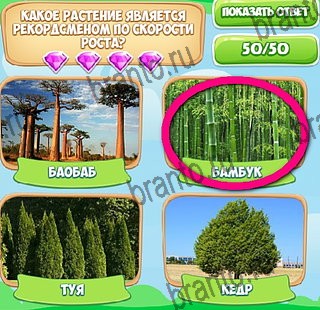 игра Узнавайка помощь ВК Уровень 319