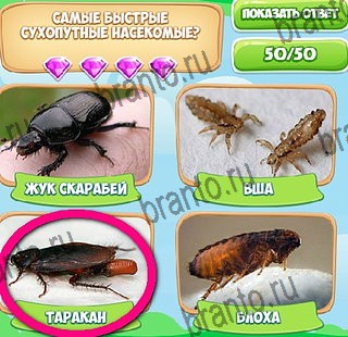 решебник на игру Узнавайка Уровень 321