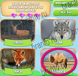 Узнавайка решения Уровень 322