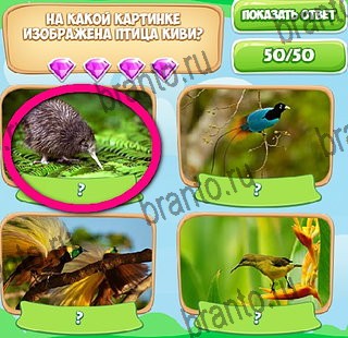 Помощь на игру ВК Узнавайка Уровень 334