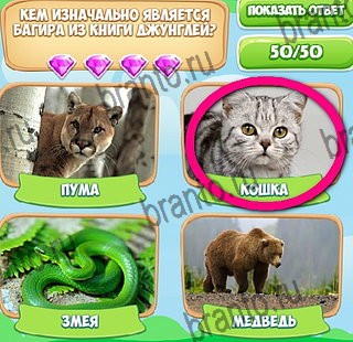 Узнавайка решения Уровень 342