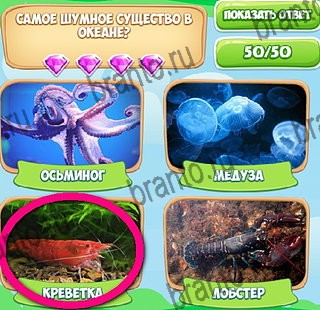 Узнавайка ответы в картинках в контакте Уровень 346