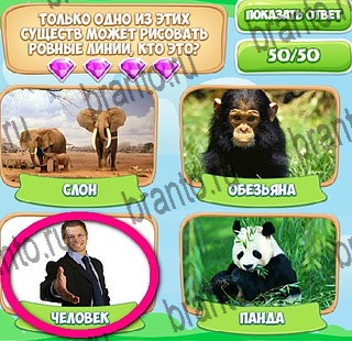 ответы на игру в одноклассниках Узнавайка Уровень 366