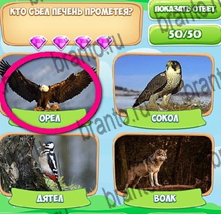 Узнавайка подсказки в контакте Уровень 369