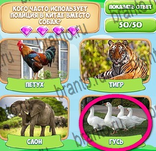 Узнавайка решения Уровень 372