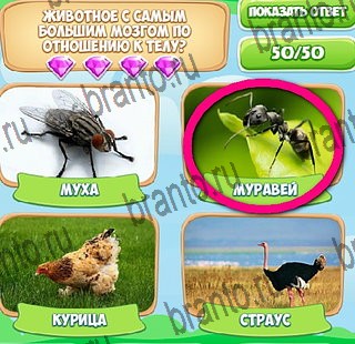 Узнавайка игра подсказки Уровень 374