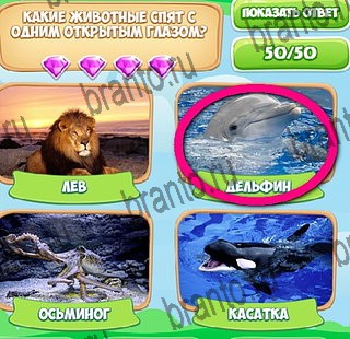 Узнавайка игра подсказки Уровень 384