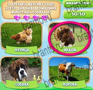 Узнавайка ответы в картинках Уровень 386