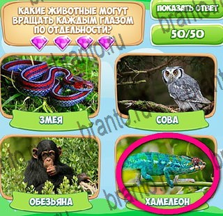 Решения на игру Узнавайка в контакте Уровень 393