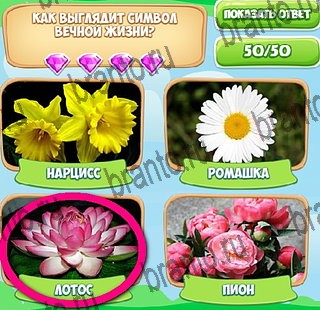 Узнавайка игра в одноклассниках помощь Уровень 405