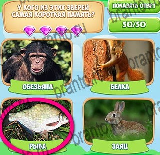 игра Узнавайка помощь ВК Уровень 409