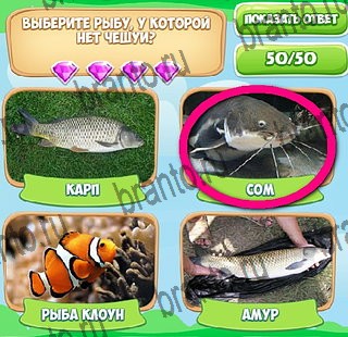 Узнавайка игра ответы Уровень 413