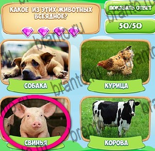 Игра Узнавайка ответы на все уровни игры в одноклассниках Уровень 419