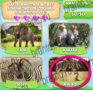 ответы на игру Узнавайка в одноклассниках Уровень 420