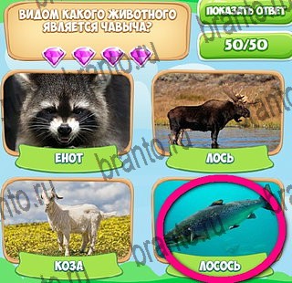 Узнавайка игра ответы в одноклассниках Уровень 427