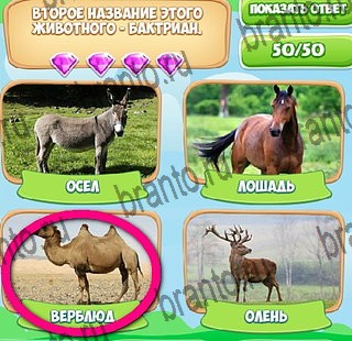 решебник на игру Узнавайка Уровень 431