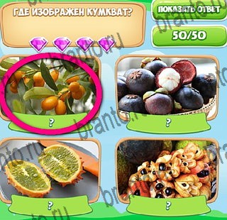 Узнавайка решения Уровень 432