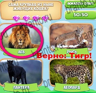 Игра Узнавайка ответы вк Уровень 437