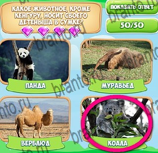 Игра Узнавайка подсказки вк Уровень 438