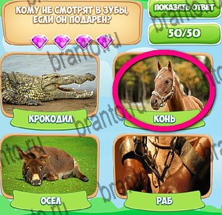 игра Узнавайка помощь ВК Уровень 439