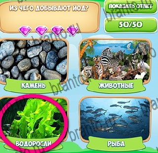 Узнавайка решения Уровень 462