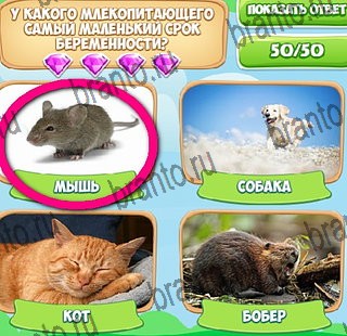 Узнавайка игра в одноклассниках помощь Уровень 465