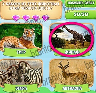 Игра Узнавайка ответы вк Уровень 467